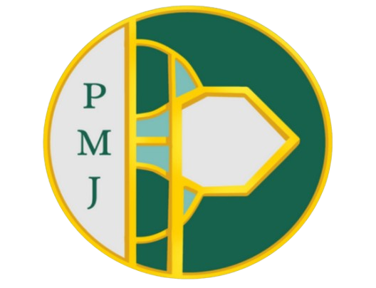 Plexus Medical journal (PMJ) 